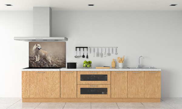 Spatscherm keuken Witte wolf op een rots