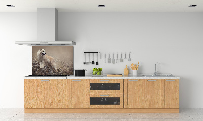Spatscherm keuken Witte wolf op een rots