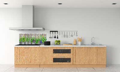 Keuken achterwand Kruiden aan een touwtje