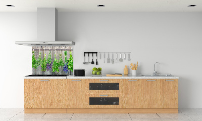 Keuken achterwand Kruiden aan een touwtje
