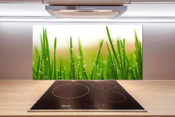 Keuken achterwand Gras