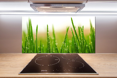 Keuken achterwand Gras