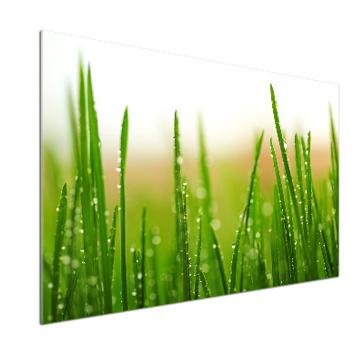 Keuken achterwand Gras