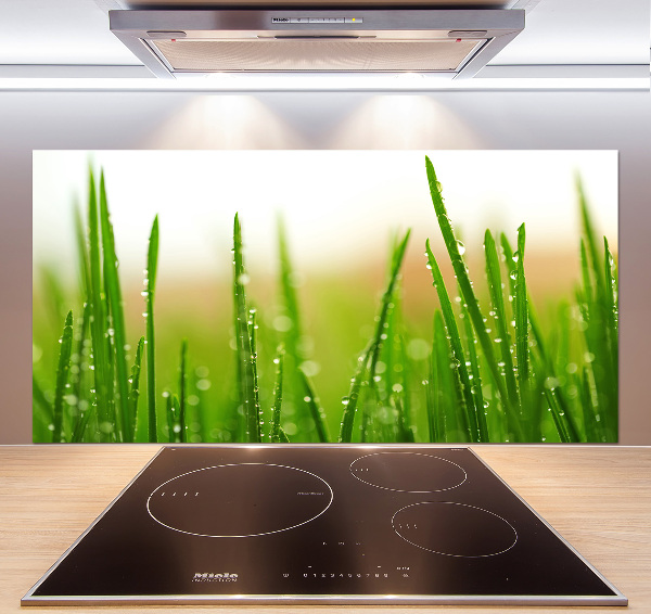Keuken achterwand Gras