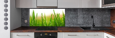 Keuken achterwand Gras