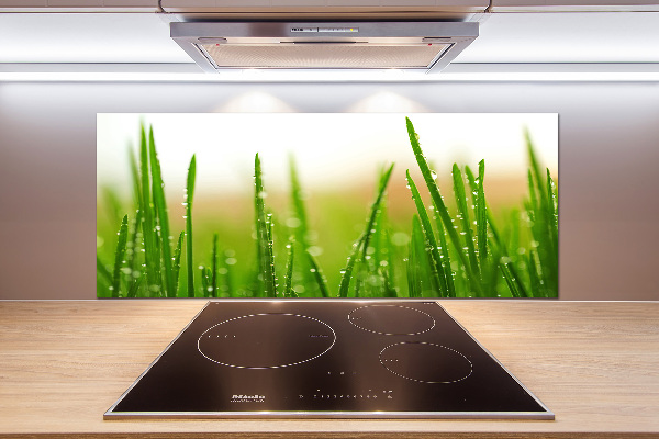 Keuken achterwand Gras