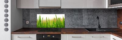 Keuken achterwand Gras