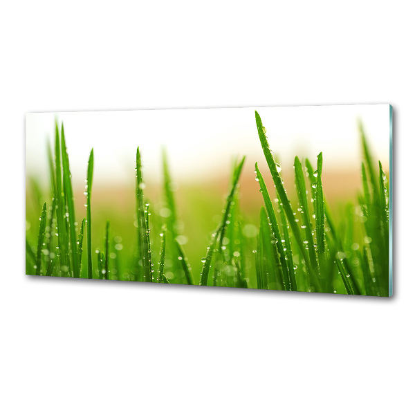 Keuken achterwand Gras