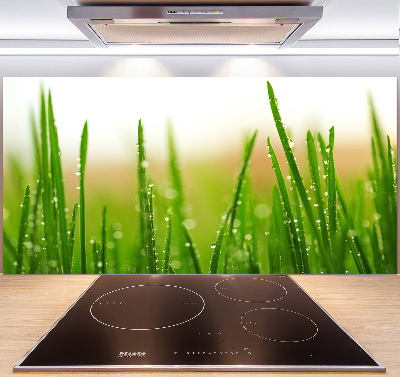 Keuken achterwand Gras