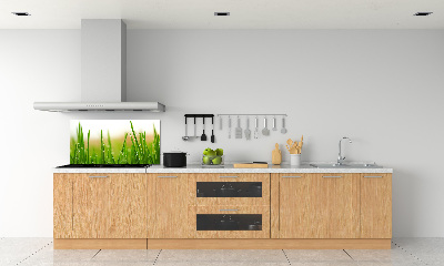 Keuken achterwand Gras