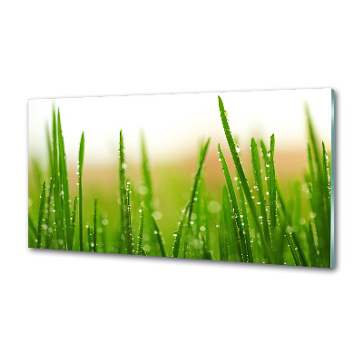 Keuken achterwand Gras