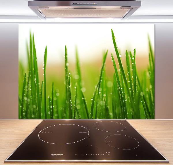 Keuken achterwand Gras