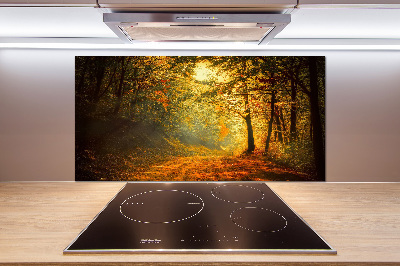 Achterwand keuken Bos in de herfst