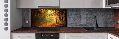 Achterwand keuken Bos in de herfst