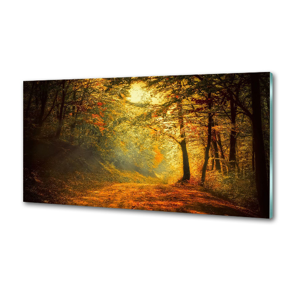Achterwand keuken Bos in de herfst