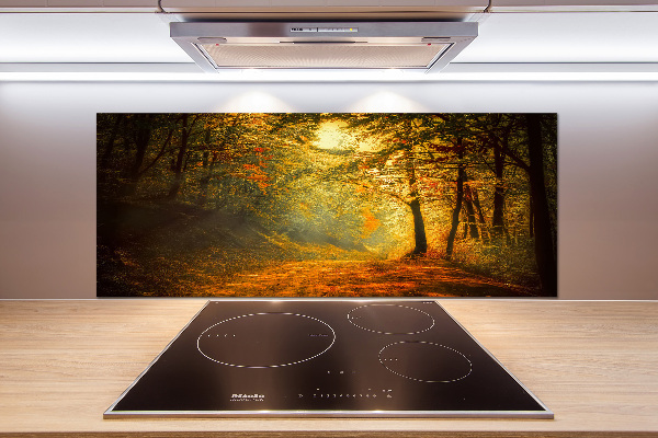 Achterwand keuken Bos in de herfst