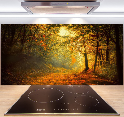 Achterwand keuken Bos in de herfst
