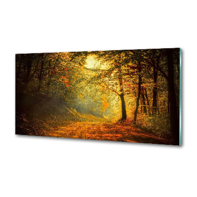 Achterwand keuken Bos in de herfst