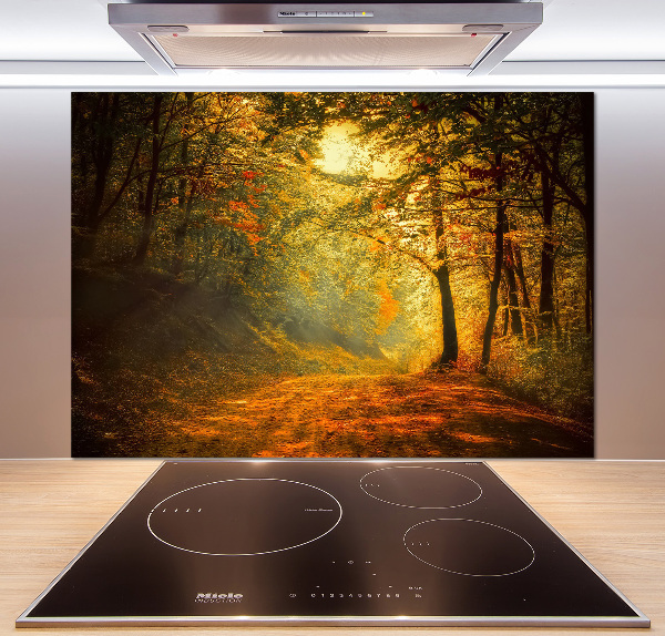 Achterwand keuken Bos in de herfst