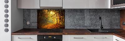 Achterwand keuken Bos in de herfst