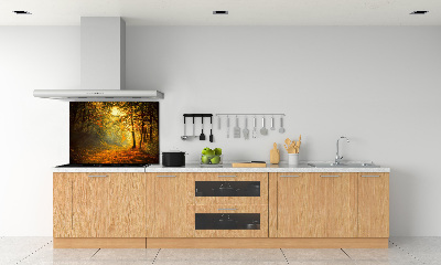 Achterwand keuken Bos in de herfst