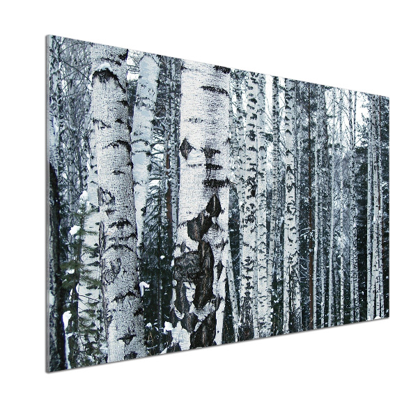 Glazen achterwand keuken Berkenbomen
