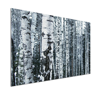 Glazen achterwand keuken Berkenbomen