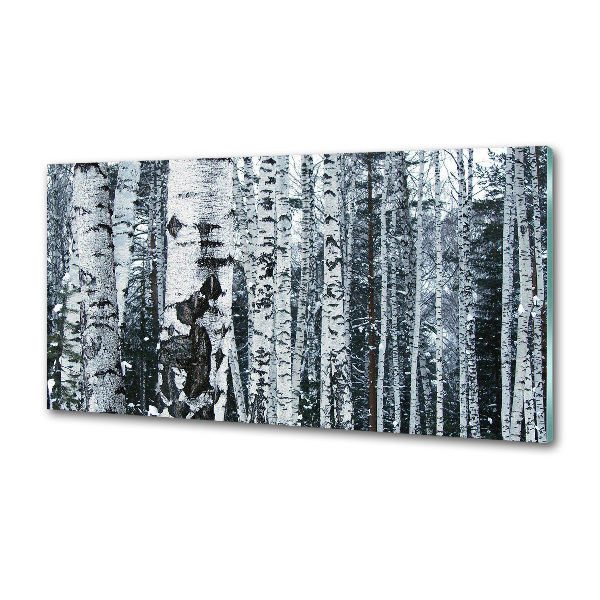 Glazen achterwand keuken Berkenbomen