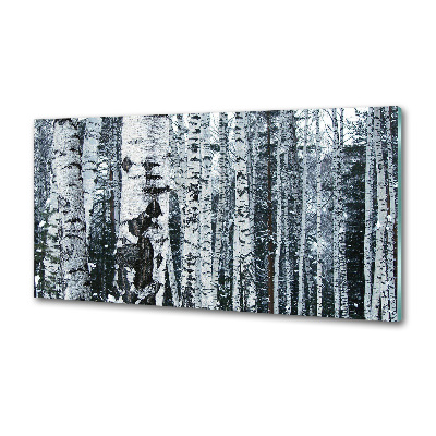 Glazen achterwand keuken Berkenbomen