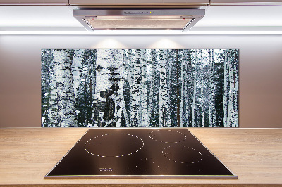 Glazen achterwand keuken Berkenbomen