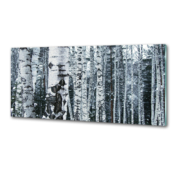 Glazen achterwand keuken Berkenbomen