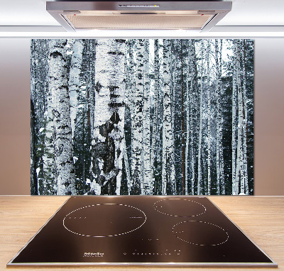 Glazen achterwand keuken Berkenbomen