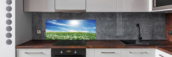 Spatscherm keuken Wei