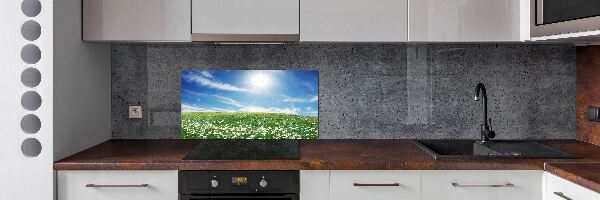 Spatscherm keuken Wei