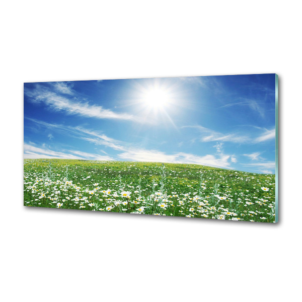 Spatscherm keuken Wei