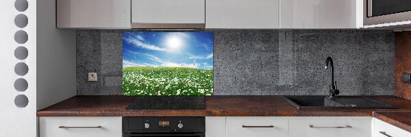 Spatscherm keuken Wei