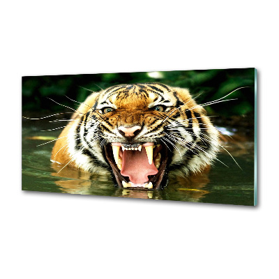 Panel do kuchni Ryczący tygrys
