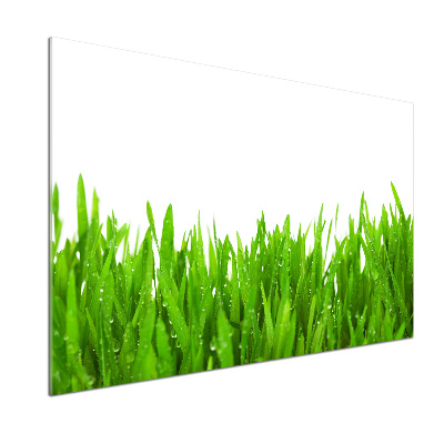 Achterwand keuken Gras