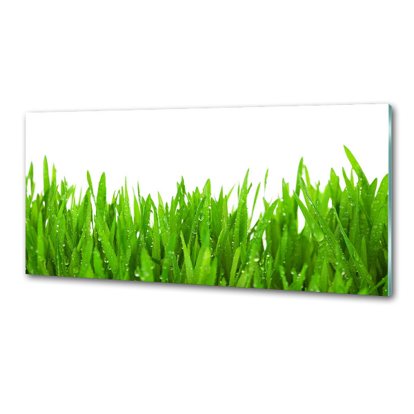 Achterwand keuken Gras