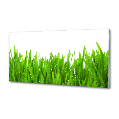 Achterwand keuken Gras