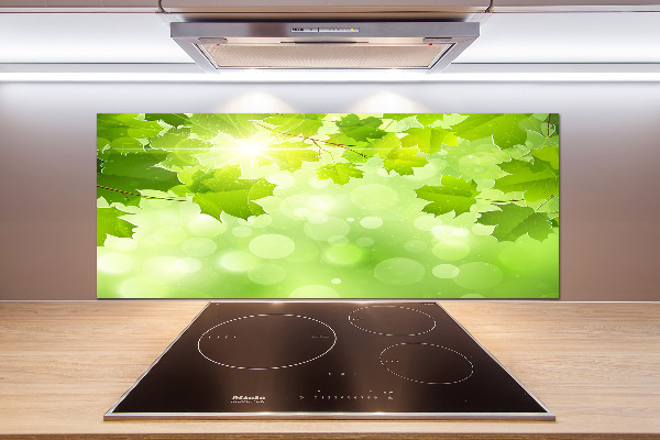 Spatplaat keuken Paardenkastanjebladeren