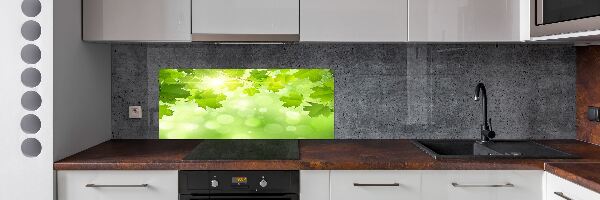 Spatplaat keuken Paardenkastanjebladeren