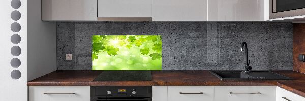 Spatplaat keuken Paardenkastanjebladeren