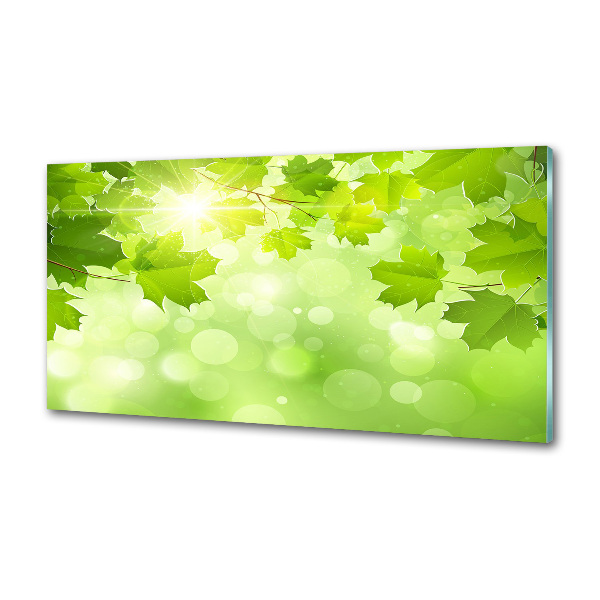 Panel do kuchni Liście kasztanowca