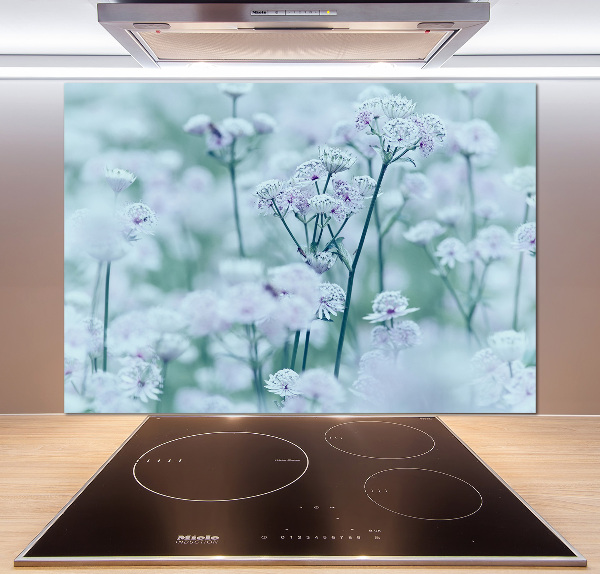 Glazen achterwand keuken Grote mantelkruid