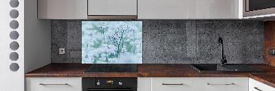 Glazen achterwand keuken Grote mantelkruid