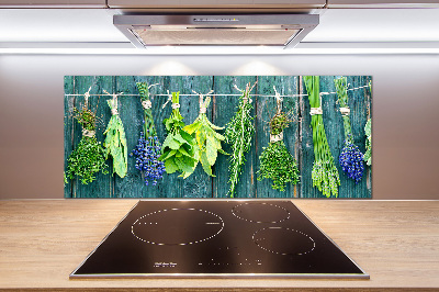 Spatscherm keuken Kruiden aan een touwtje
