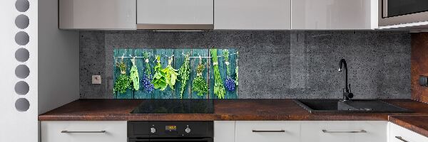Spatscherm keuken Kruiden aan een touwtje