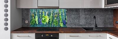 Spatscherm keuken Kruiden aan een touwtje