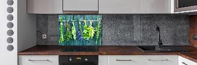 Spatscherm keuken Kruiden aan een touwtje